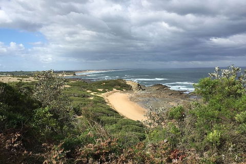 George Bass Coastal Walk - Accommodation Tasmania 7