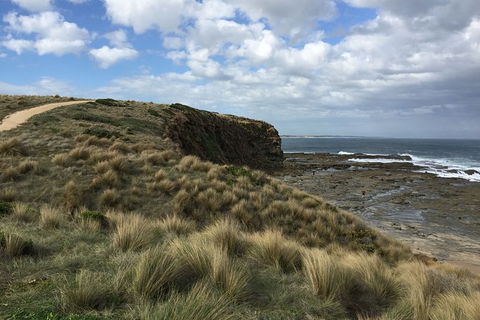 George Bass Coastal Walk - Accommodation Tasmania 8