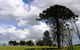 Walking Tours Of Woodlands Historic Park - thumb 0