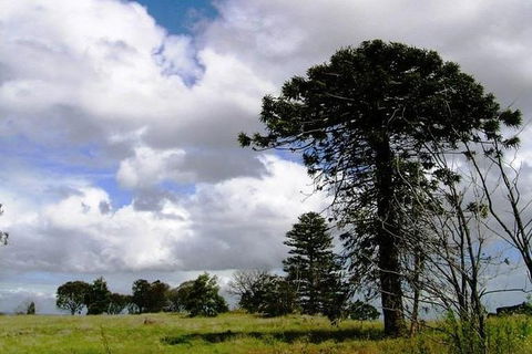 Walking Tours Of Woodlands Historic Park - Accommodation Tasmania 0