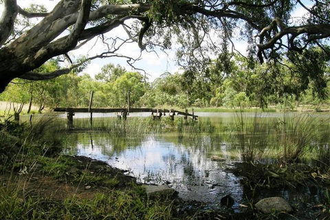 Walking Tours Of Woodlands Historic Park - Accommodation Tasmania 1