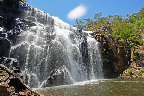 Grampians National Park Small-Group Eco Tour From Melbourne - Accommodation Tasmania 0