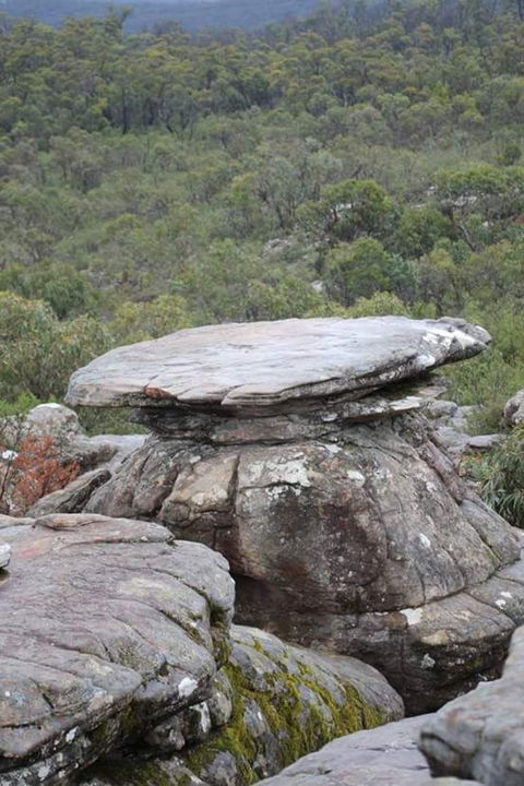 Grampians National Park Small-Group Eco Tour From Melbourne - Accommodation Tasmania 12