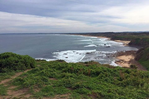 Half Day Phillip Island Woolamai Walking Tour - Accommodation Tasmania 0