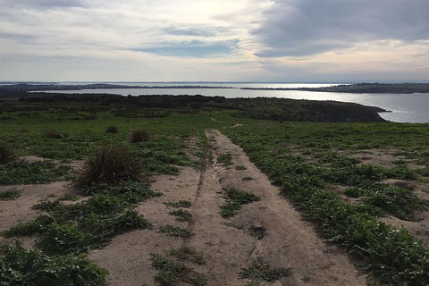 Half Day Phillip Island Woolamai Walking Tour - Accommodation Tasmania 8