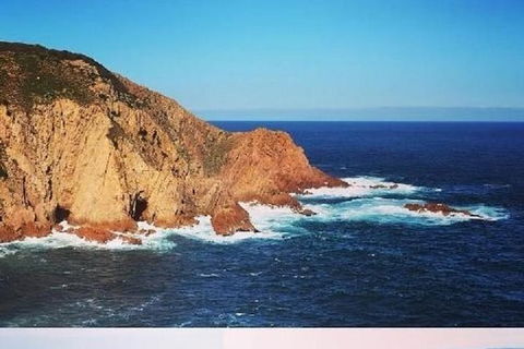 Half Day Phillip Island Woolamai Walking Tour - Accommodation Tasmania 6
