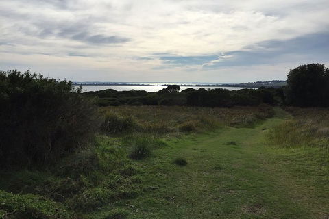Half Day Phillip Island Woolamai Walking Tour - Accommodation Tasmania 4