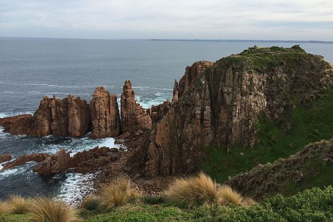 Half Day Phillip Island Woolamai Walking Tour - Accommodation Tasmania 16