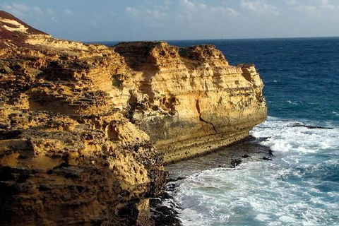 Half Day Phillip Island Woolamai Walking Tour - Accommodation Tasmania 12