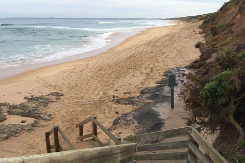 Half Day Phillip Island Woolamai Walking Tour - Accommodation Tasmania 11