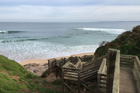 Half Day Phillip Island Woolamai Walking Tour - Accommodation Tasmania 5