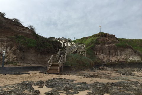 Half Day Phillip Island Woolamai Walking Tour - Accommodation Tasmania 14