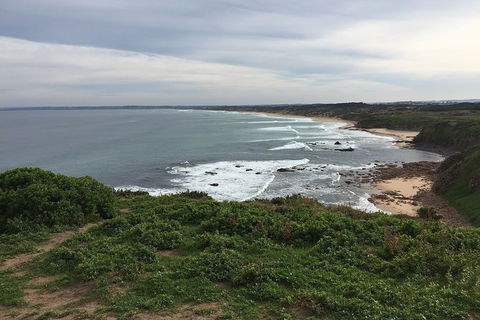 Half Day Phillip Island Woolamai Walking Tour - Accommodation Tasmania 10