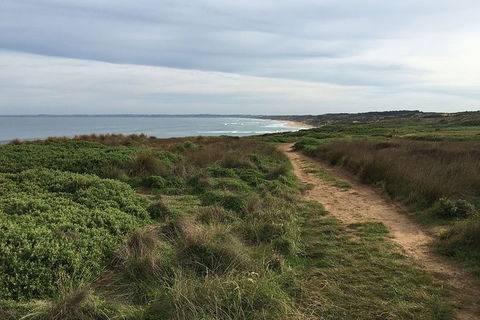 Half Day Phillip Island Woolamai Walking Tour - Accommodation Tasmania 3