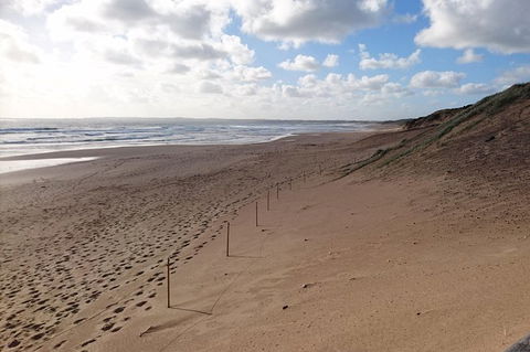 Half Day Phillip Island Woolamai Walking Tour - Accommodation Tasmania 7