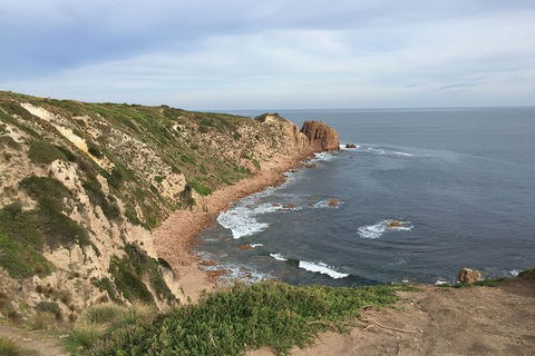 Half Day Phillip Island Woolamai Walking Tour - Accommodation Tasmania 2