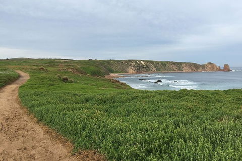Half Day Phillip Island Woolamai Walking Tour - Accommodation Tasmania 9