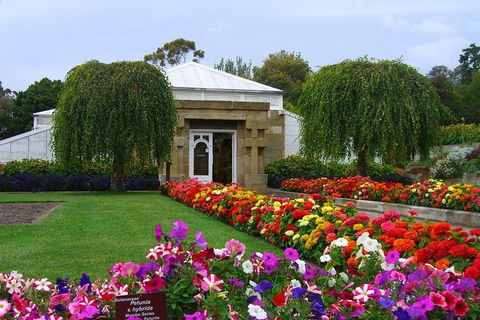 Hobart City Sightseeing Tour Including MONA Admission - Accommodation Tasmania 1