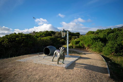 Cruise Ship Special From Port Arthur: Explore Tasman Peninsula With Free WiFi - Accommodation Tasmania 9