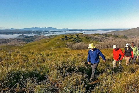5-Day Tasmania West Coast Camping Tour: Hobart To Launceston Including Mount Field National Park, Tarkine And Cradle Mountain - Accommodation Tasmania 1