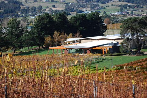 Home Hill Winery Helicopter Tour - Accommodation Tasmania 1