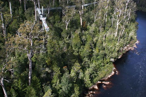 Cruise Ship Special From Hobart: Mt Wellington And Tahune AirWalk - Accommodation Tasmania 1