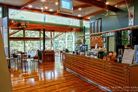 Cruise Ship Special From Hobart: Mt Wellington And Tahune AirWalk - Accommodation Tasmania 5