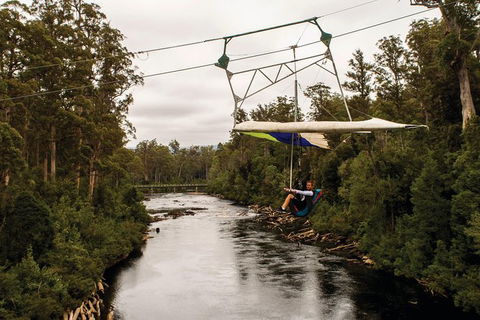 Cruise Ship Special From Hobart: Mt Wellington And Tahune AirWalk - Accommodation Tasmania 3