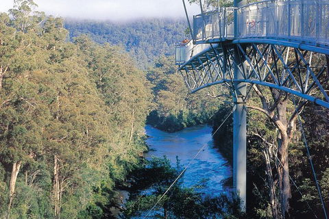 Small-groupTour From Hobart: Mt. Wellington, Huon Valley And Tahune AirWalk - Accommodation Tasmania 0