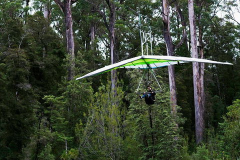 Small-groupTour From Hobart: Mt. Wellington, Huon Valley And Tahune AirWalk - Accommodation Tasmania 4