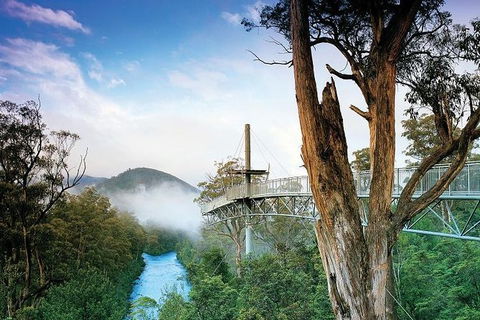 Small-groupTour From Hobart: Mt. Wellington, Huon Valley And Tahune AirWalk - Accommodation Tasmania 2