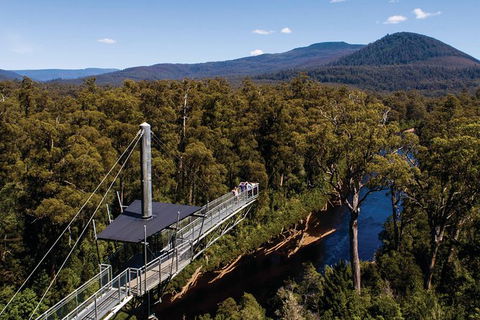 Small-groupTour From Hobart: Mt. Wellington, Huon Valley And Tahune AirWalk - Accommodation Tasmania 8