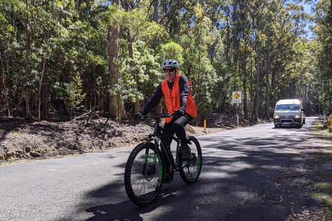 Mount Wellington Descent Cycling Tour Departs Hobart - Accommodation Tasmania 10