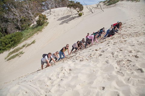 3 Day Tasmanian Wild West Coast Tour From Hobart To Launceston - Accommodation Tasmania 8