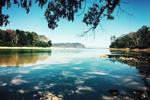 Full-Day Guided Bruny Island Tour From Hobart - Accommodation Tasmania 4