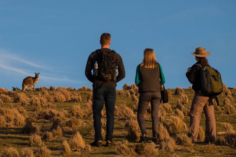 Small Group Tasmanias Wilderness And Wildlife Day Tour - Accommodation Tasmania 0