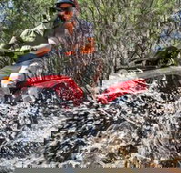 Quad Bike 2-Hour Adventure Freycinet National Park - Accommodation Tasmania