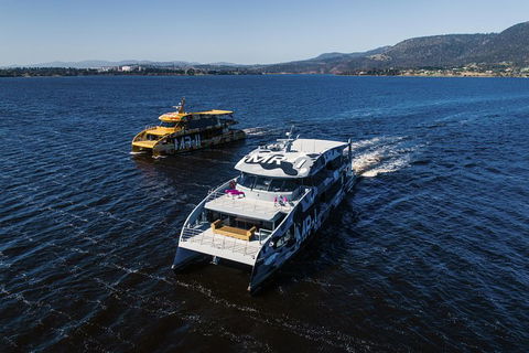 Moorilla Wine Meets Mona Art Day Trip - Accommodation Tasmania 2