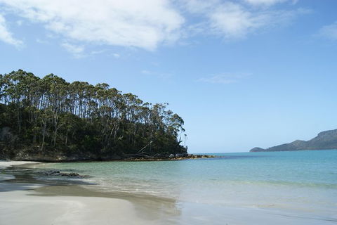 Bruny Island Day Trip From Hobart - Accommodation Tasmania 2