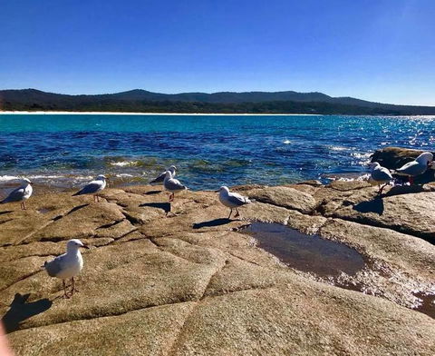 5-Day Lap Of Tasmania Tour From Hobart (flexible Ticket) - Accommodation Tasmania 4
