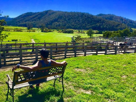 5-Day Lap Of Tasmania Tour From Hobart (flexible Ticket) - Accommodation Tasmania 2