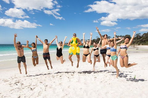 5-Day Lap Of Tasmania Tour From Hobart (flexible Ticket) - Accommodation Tasmania 10
