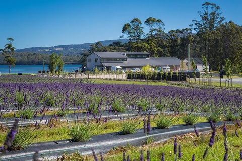 Private Tasman Peninsula Cruise Ship Tour From Port Arthur - Accommodation Tasmania 0