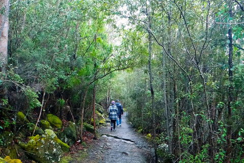 Hobart Hop-On Hop-Off Bus & Kunanyi/Mt Wellington Tour - Accommodation Tasmania 4