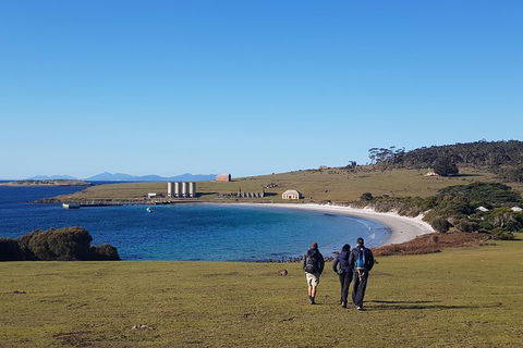 6-Day Best Of Tasmania Hiking Tour From Hobart - Accommodation Tasmania 1