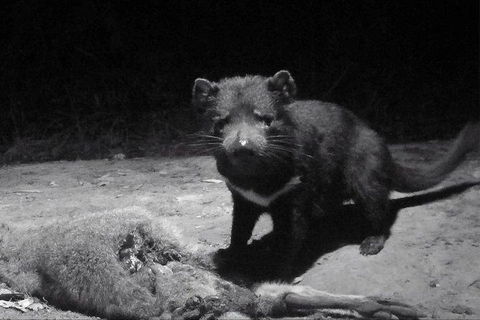 Devil Hide (Overnight Stay, $495 For Up To 3 People) - Accommodation Tasmania 4