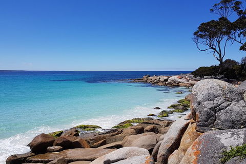 Tasmania 4 Day East Coast + Launceston - Accommodation Tasmania 0