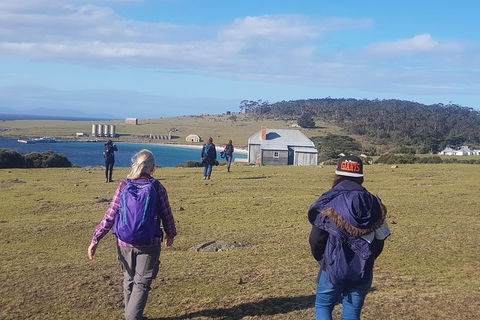 4-Day: Hobart Adventure Tour: Maria Island, Cape Raoul, Mount Field, Cape Hauy - Accommodation Tasmania 0