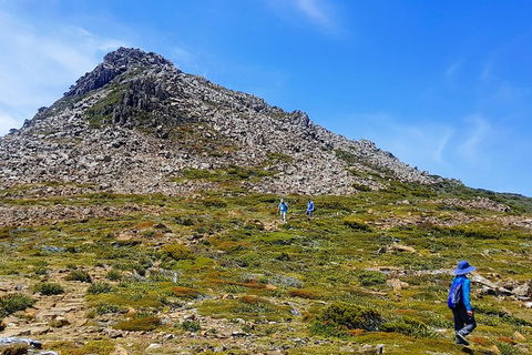 3-Day: Hobart Adventure Tour: Mount Field, Cape Hauy And Hartz Peak - Accommodation Tasmania 0
