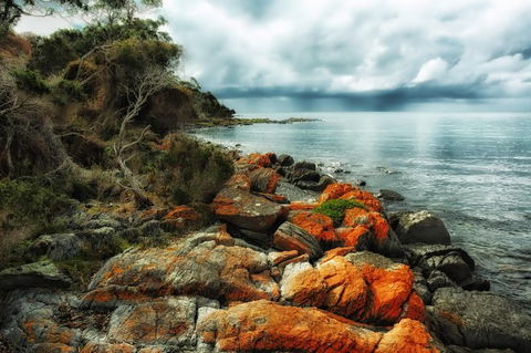 Hobart\'s Best: City, Nature, Wildlife, And Fine Cuisine - Accommodation Tasmania 6